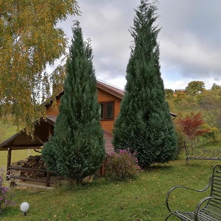 Casa Zara Villa Törcsvár Kültér fotó