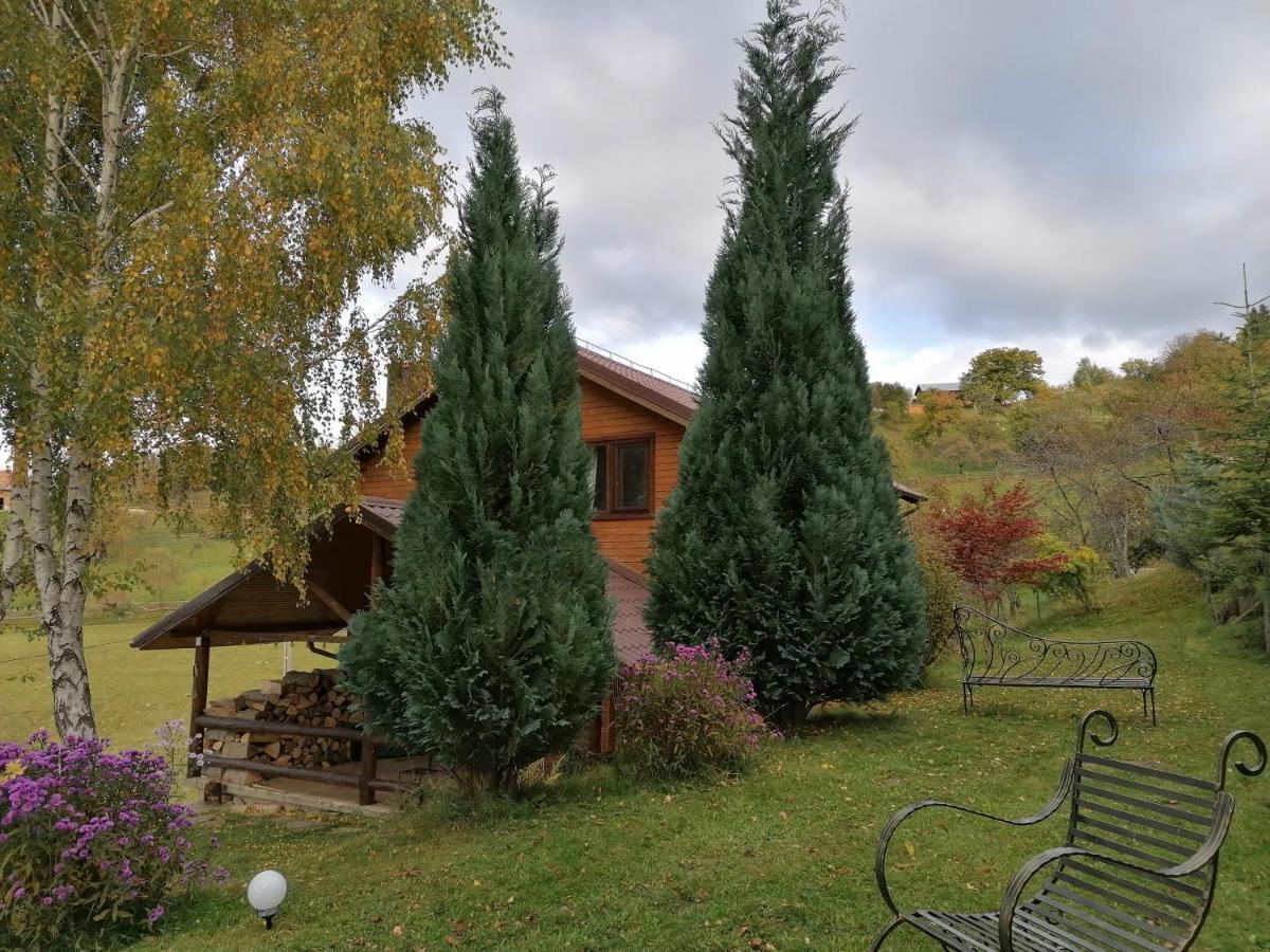 Casa Zara Villa Törcsvár Kültér fotó