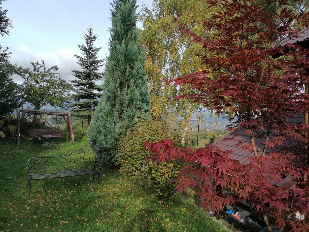 Casa Zara Villa Törcsvár Kültér fotó