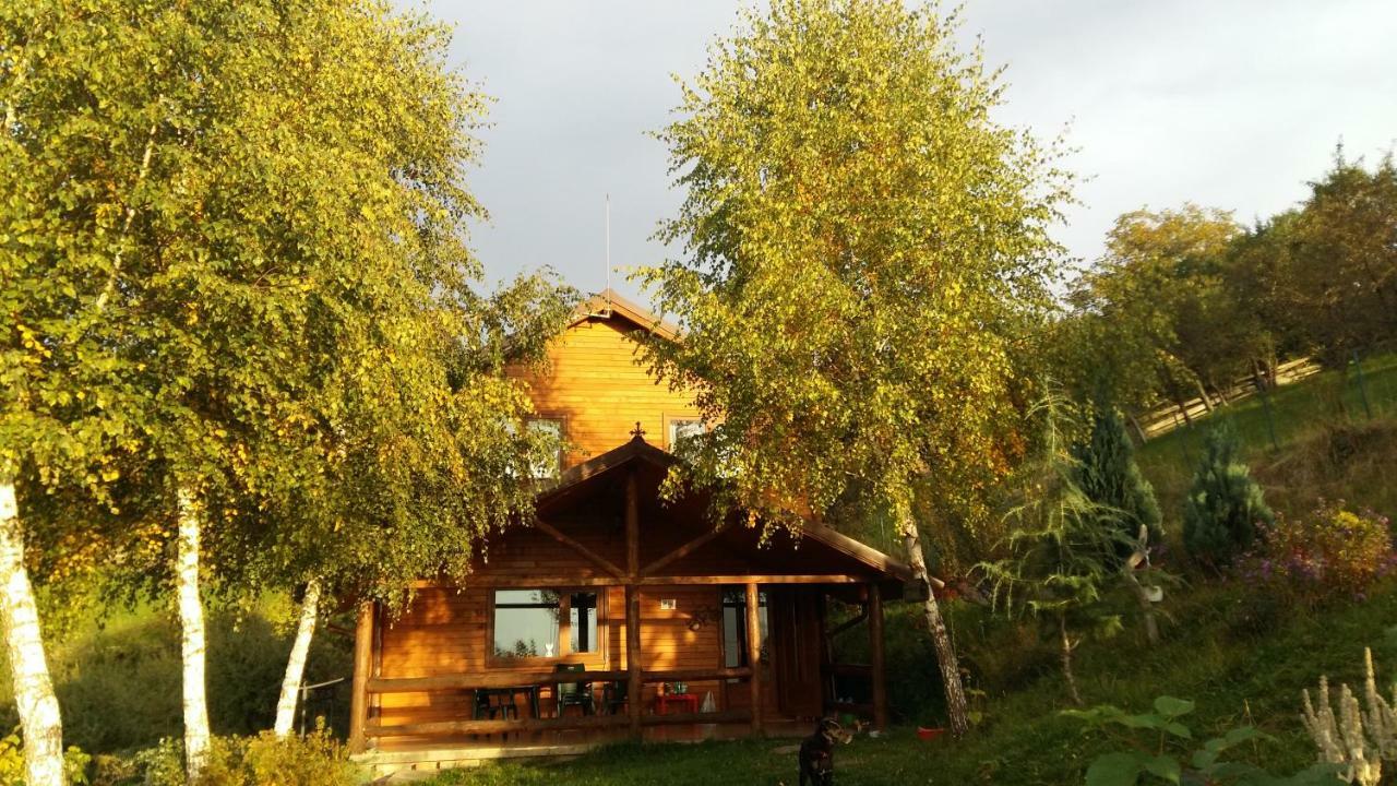 Casa Zara Villa Törcsvár Kültér fotó