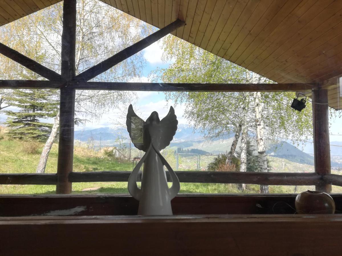Casa Zara Villa Törcsvár Kültér fotó